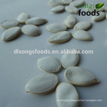 different types of seeds/Vegetable Seed/pumpkin seeds
